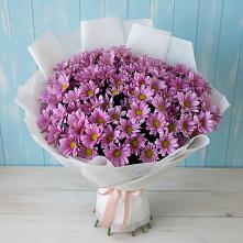 Букет цветов из:  Хризантемы в Багратионовске
