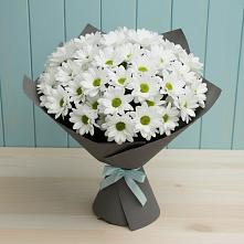 Букет цветов из:  Хризантемы в Багратионовске