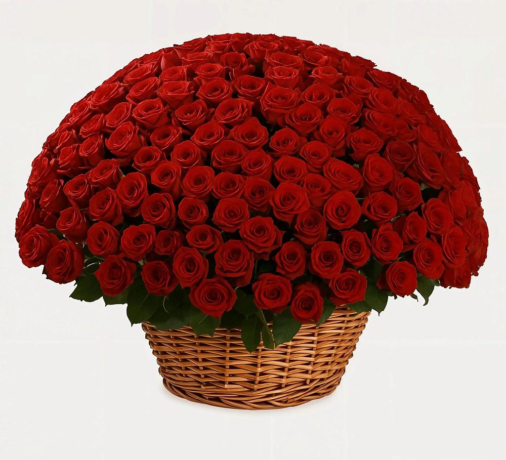 Премиум букет из: Розы в Багратионовске