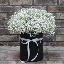 Цветочная композиция из Гипсофила в шляпной коробке в Багратионовске